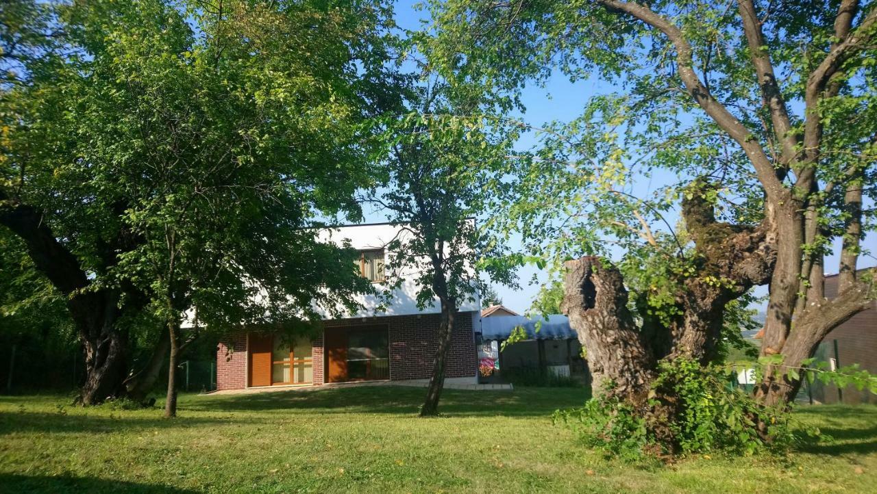 Villa Dream Dobrevci Kültér fotó